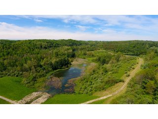Property photo 6 - LAND AUCTION - 2,596+/- ACRES IN 28 TRACTS IN COSHOCTON & MUSKINGUM COUNTIES, OHIO